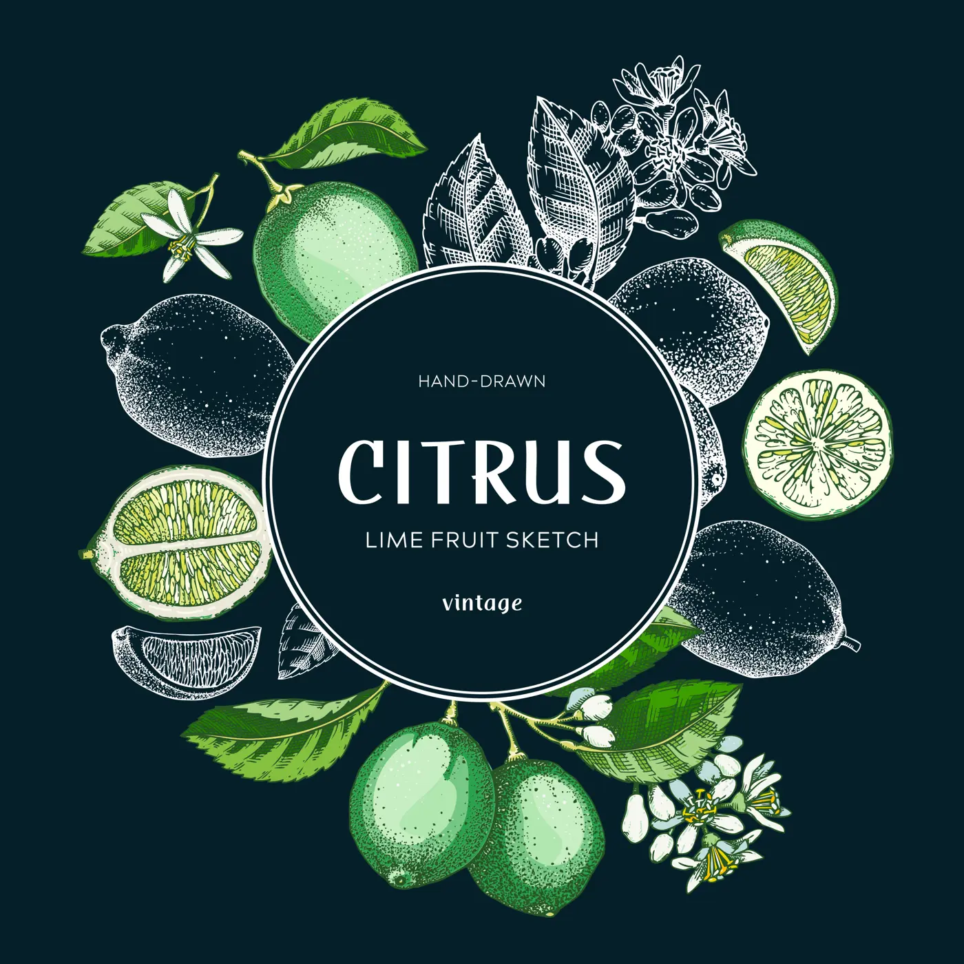 Lime fruit wreath. Citrus fruit sketches. Botanical card or invitation template. Exotic plants design. Hand drawn vector illustration. NOT AI generated Illustration